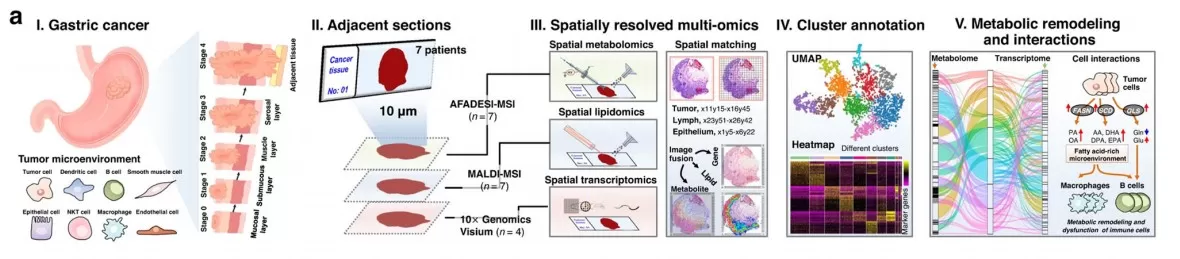 Spatial metabolomics data integration